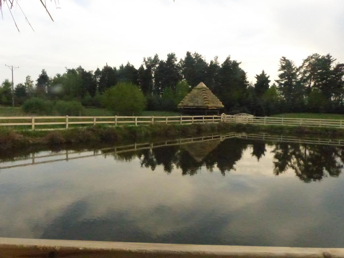 לינה וארוחת בוקר Wisznice Karczma Goralska מראה חיצוני תמונה